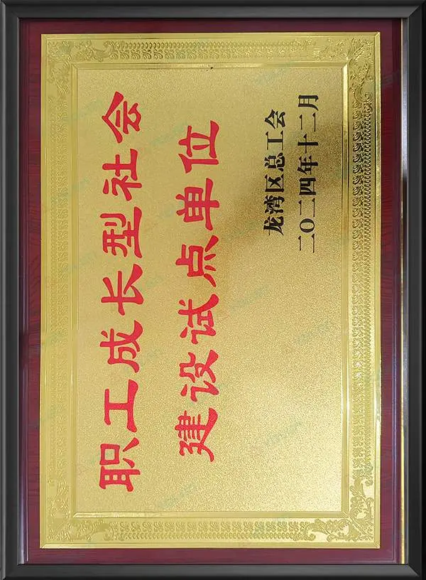 职工成长型社会建设试点单位