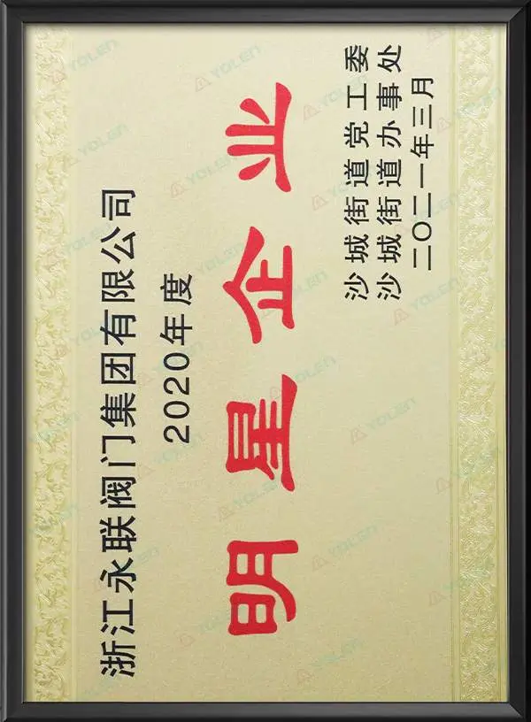 2020年度沙城街道明星企业